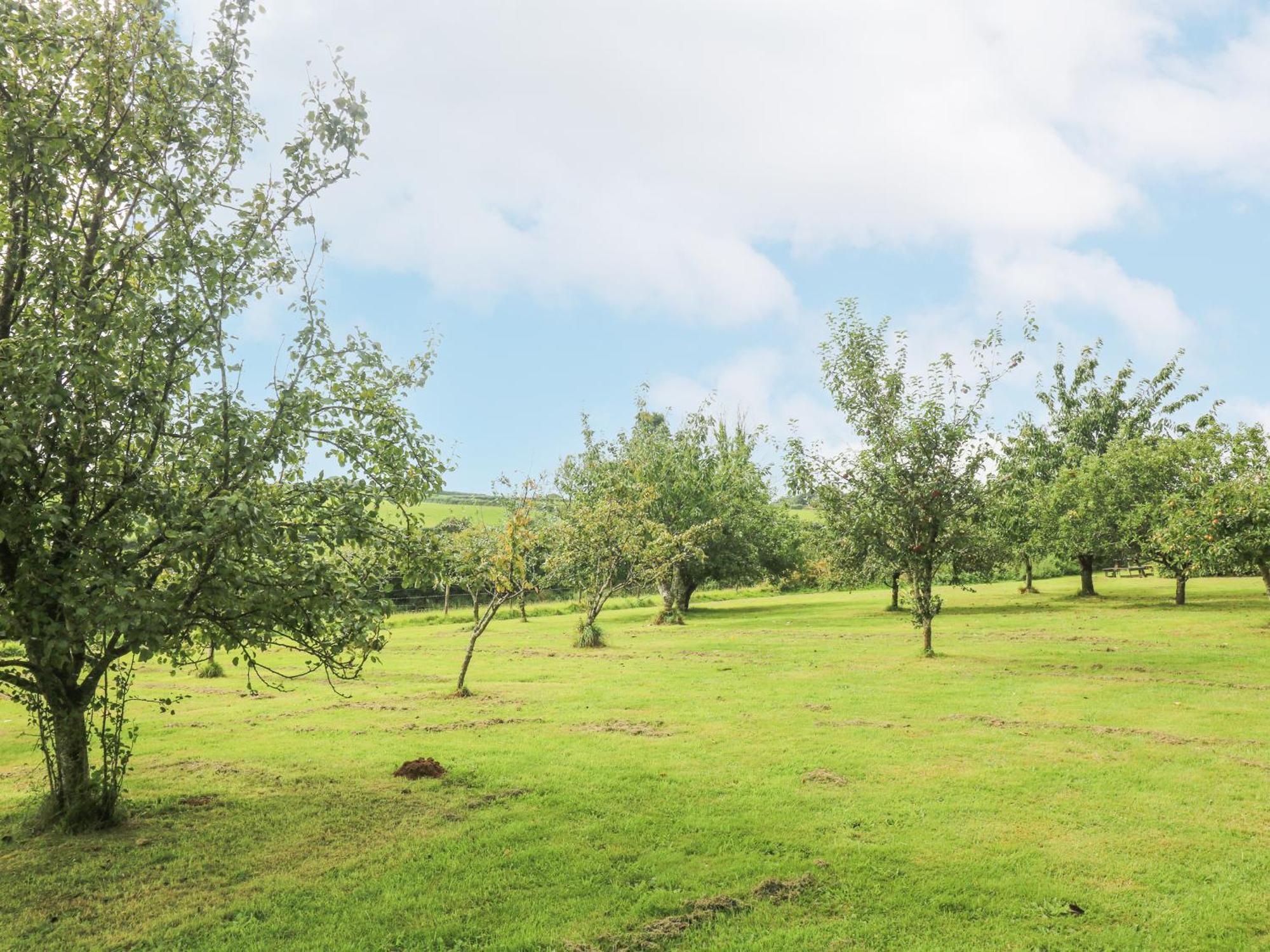 South Boduel Farmhouse Liskeard Esterno foto